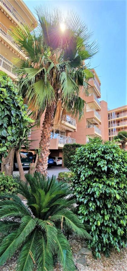 Los Ranchos, B-1º Benidorm Dış mekan fotoğraf